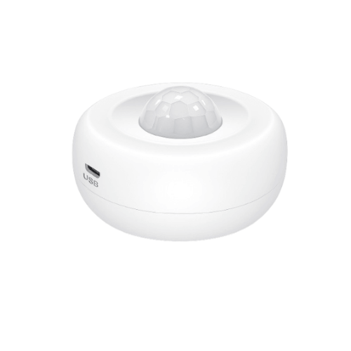 motion Sensor